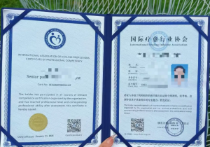 《身心疗愈师》证书介绍灯火课源-心理咨询师证书报名报考-心理咨询师证书含金量课源网